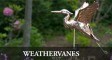 Home_Feature_Weathervane
